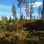 Tiirinkallio *