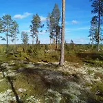 Tiirinkallio *