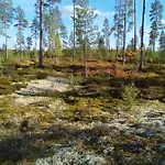 Tiirinkallio