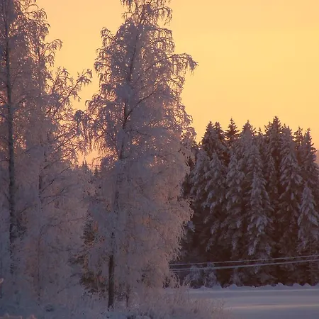 Tiirinkallio Feriehus Nilsiä