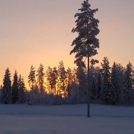 Tiirinkallio Nilsiä