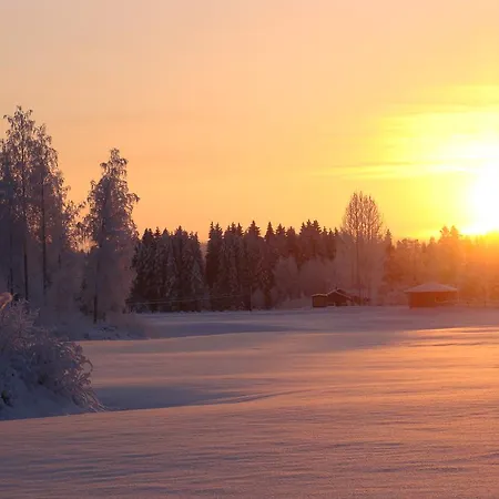 Tiirinkallio Feriehus Nilsiä