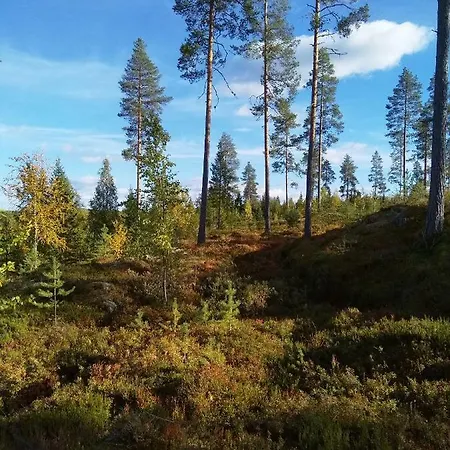 Tiirinkallio *