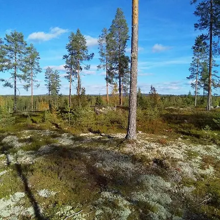 Tiirinkallio *