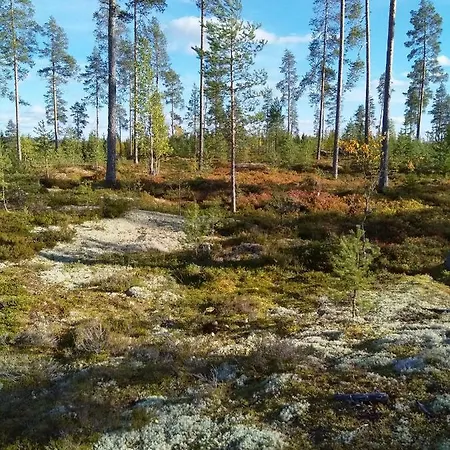 Tiirinkallio