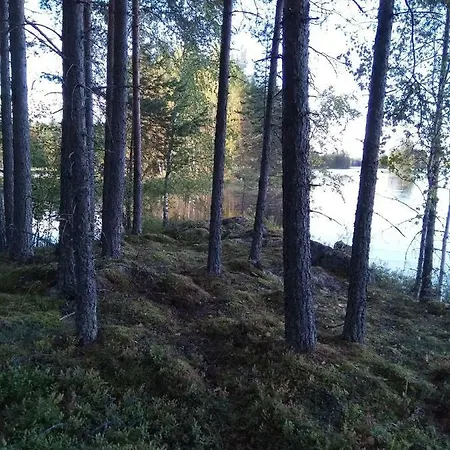 Tiirinkallio *