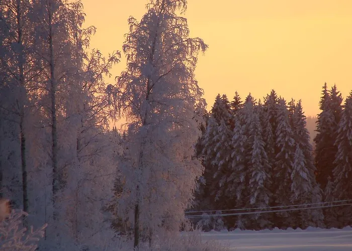 Tiirinkallio Casa vacanze Nilsiä