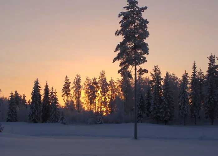 Tiirinkallio Nilsiä